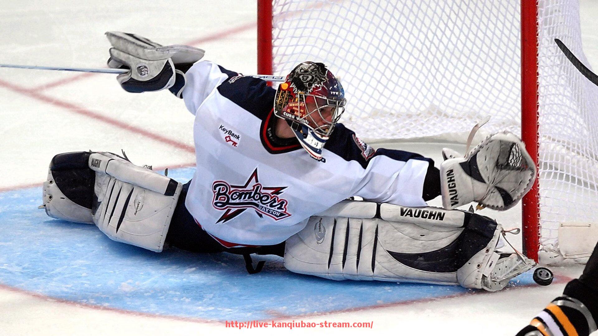 看球宝-家庭室内健身器材大全及购买指南